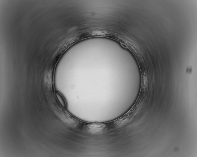 X0000099580373200806061632