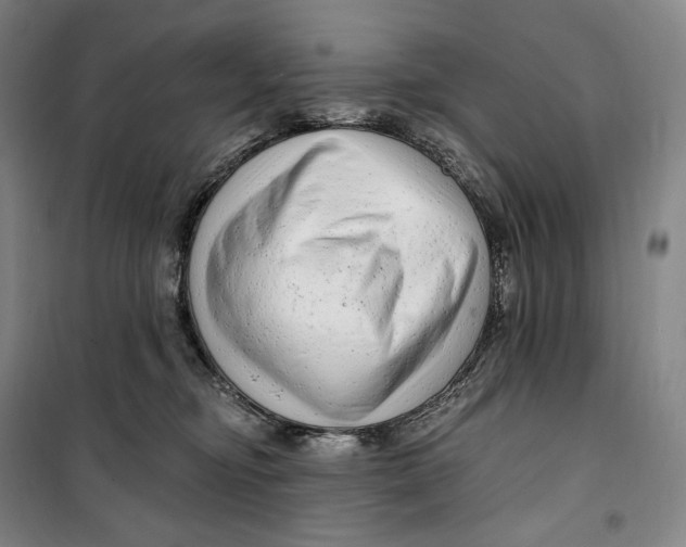 X0000099580374200806061632