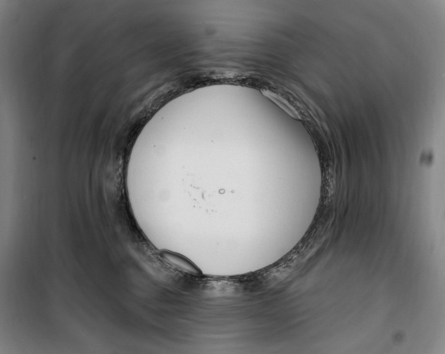 X0000099580376200806061632