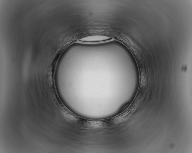 X0000099580377200806061632