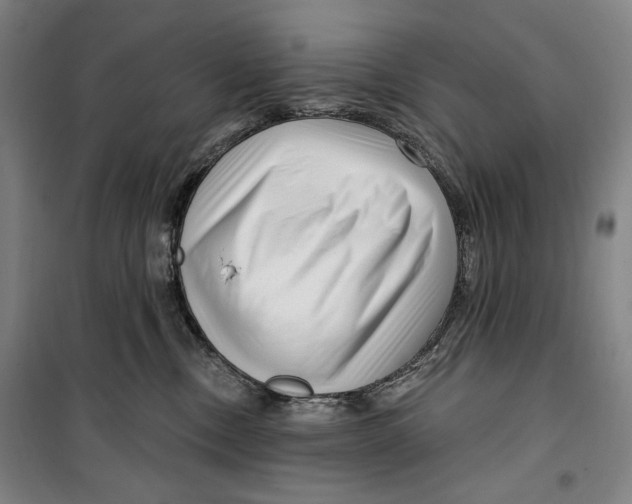 X0000099580378200806061632