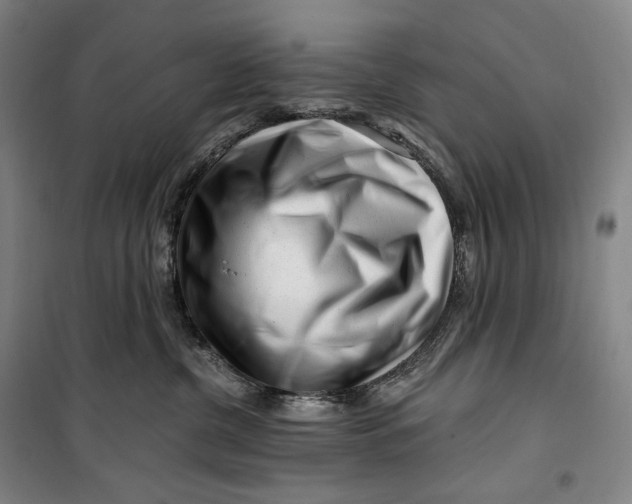 X0000099580380200806061632