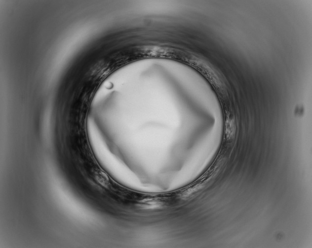 X0000099580381200806061632