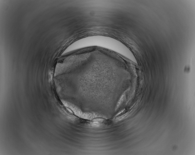 X0000099580382200806061632