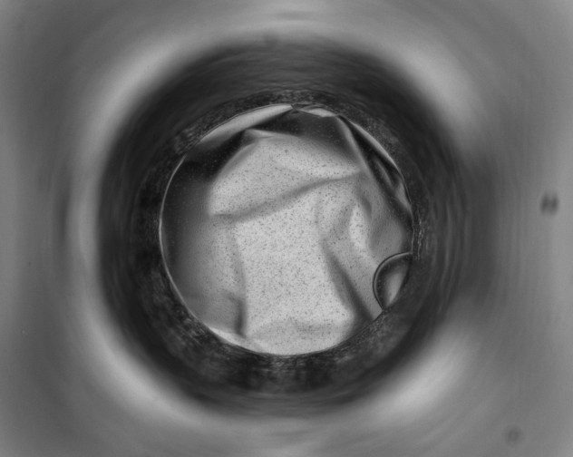 X0000099580383200806061632