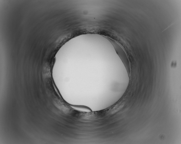 X0000099580384200806061632