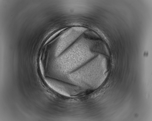 X0000099580386200806061632