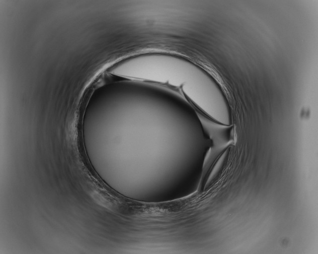 X0000099580387200806061632