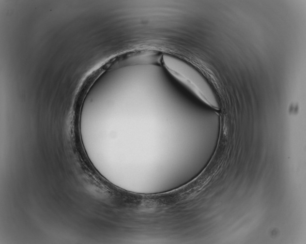 X0000099580388200806061632