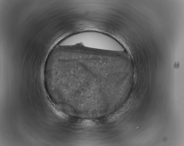 X0000099580390200806061632