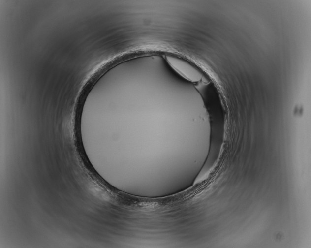 X0000099580391200806061632