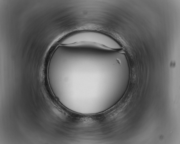 X0000099580392200806061632