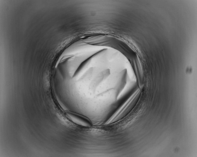 X0000099580393200806061632