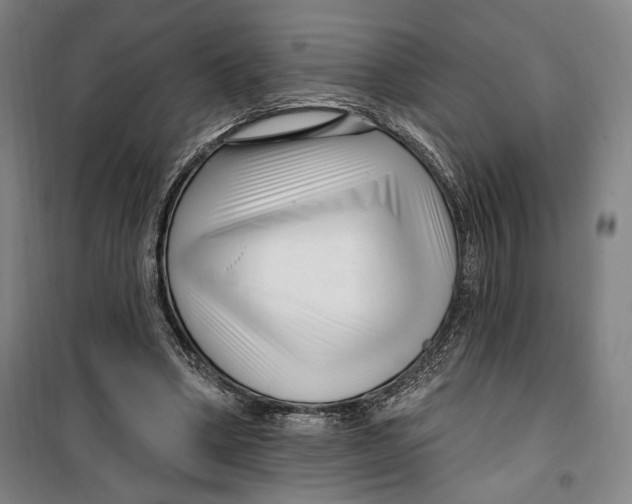 X0000099580394200806061632