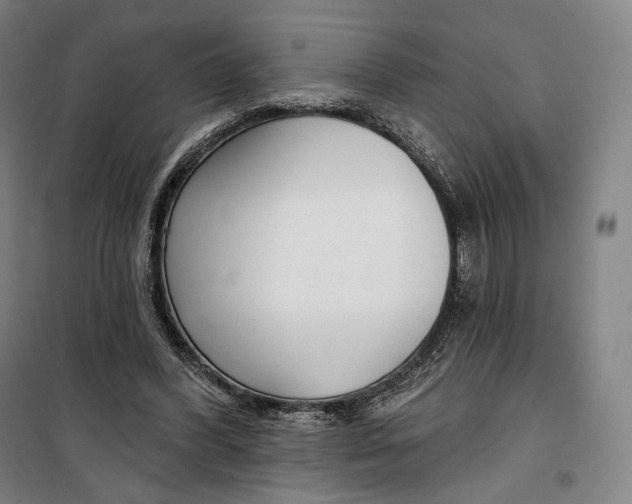 X0000099580396200806061631