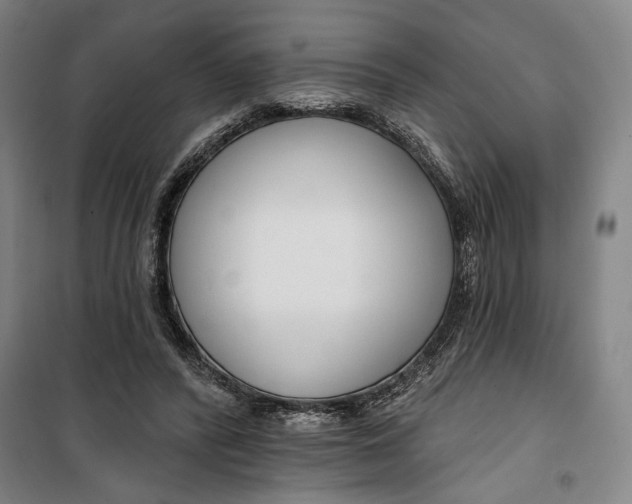 X0000099580400200806061631