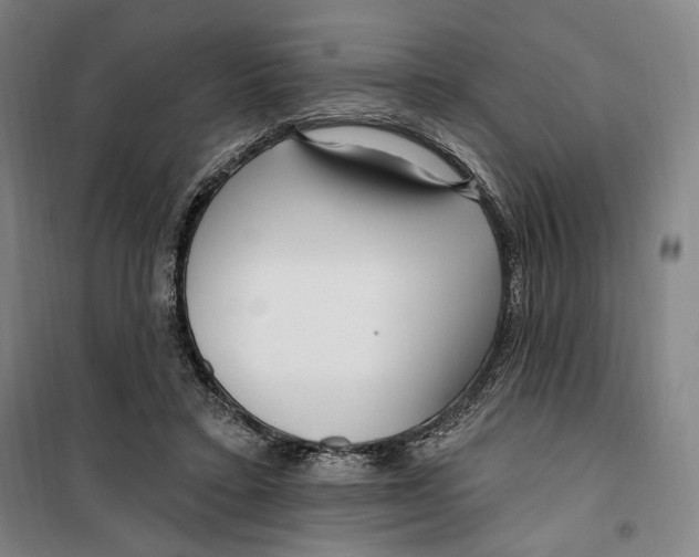 X0000099580403200806061631