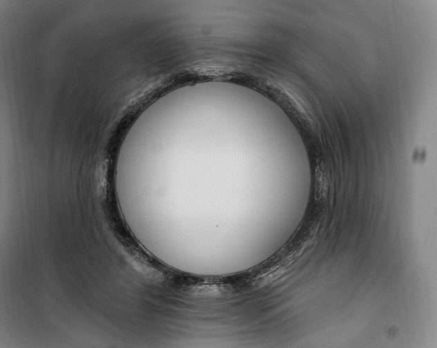 X0000099580404200806061631