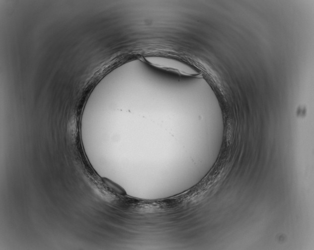 X0000099580405200806061631