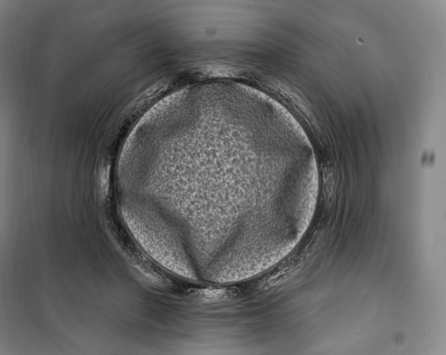 X0000099580406200806061631