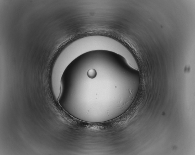 X0000099580407200806061631