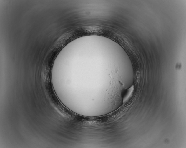 X0000099580408200806061631