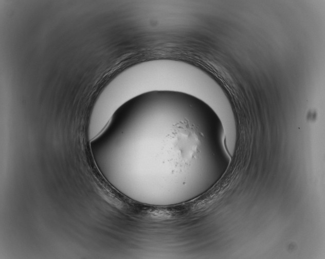 X0000099580409200806061631