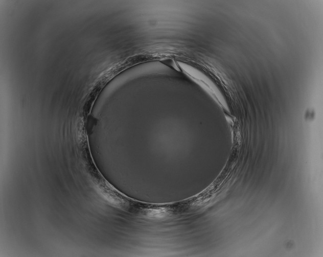 X0000099580411200806061631