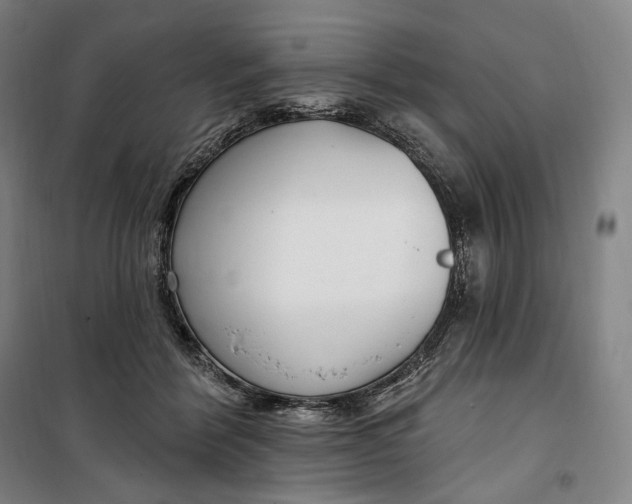 X0000099580412200806061631