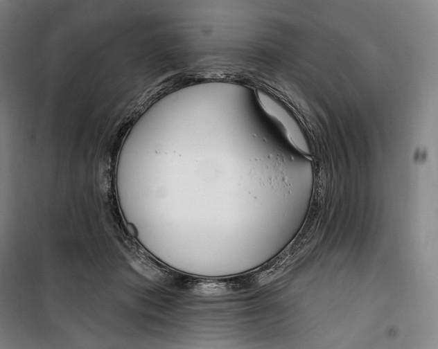 X0000099580413200806061631