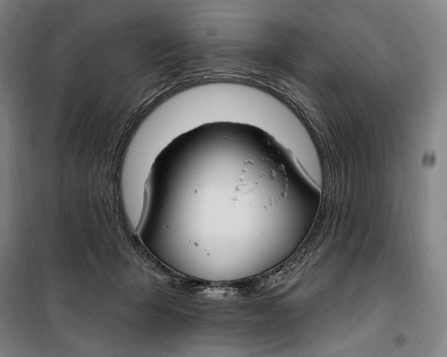 X0000099580415200806061631