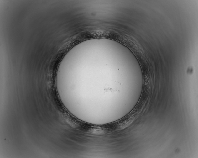 X0000099580416200806061631