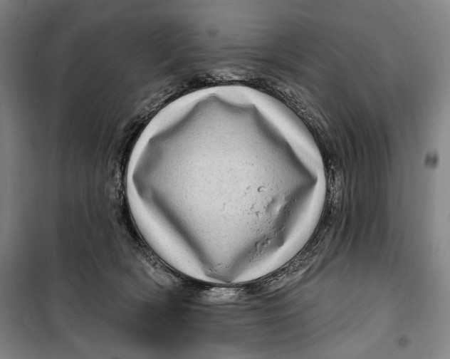 X0000099580418200806061631