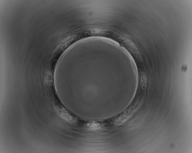 X0000099580419200806061631