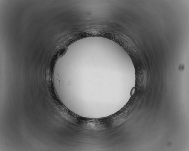 X0000099580420200806061631