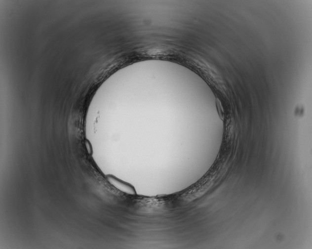 X0000099580421200806061631