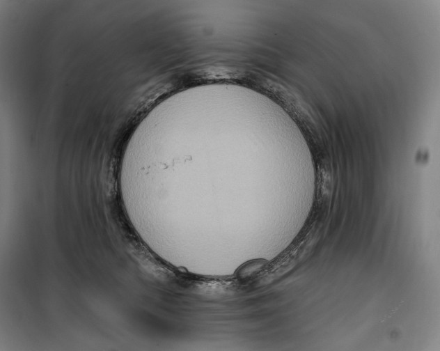 X0000099580422200806061631