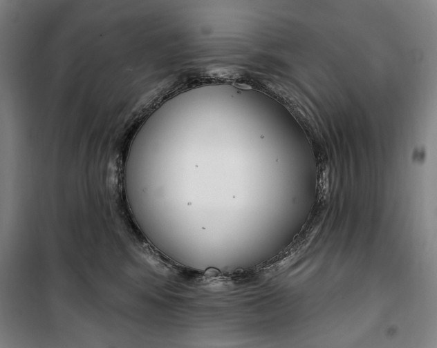 X0000099580424200806061631