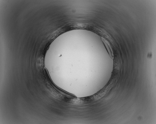 X0000099580425200806061631