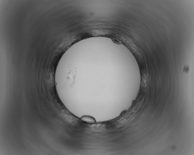 X0000099580426200806061631