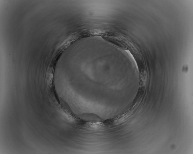 X0000099580427200806061631