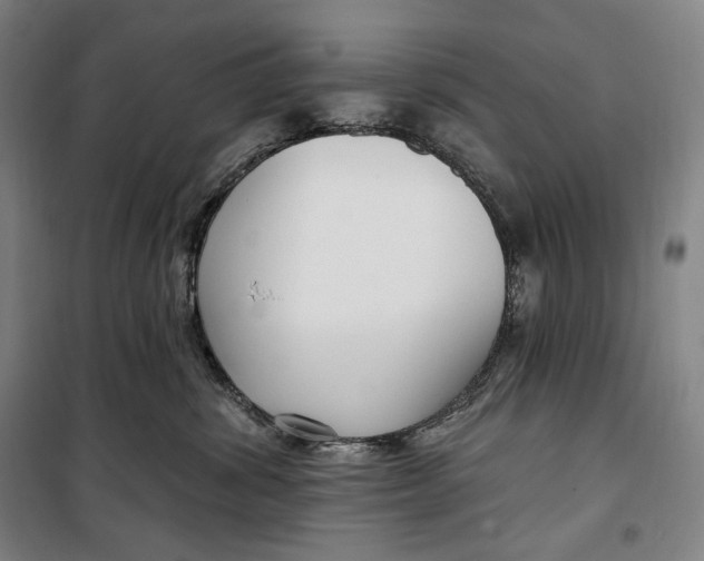 X0000099580428200806061631