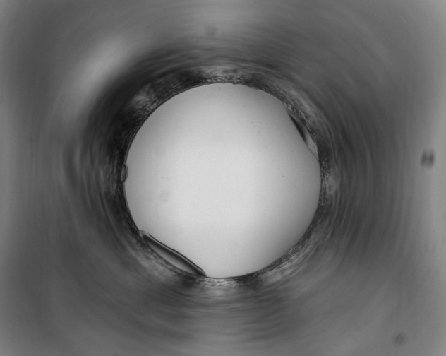 X0000099580429200806061631