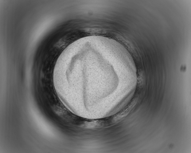 X0000099580430200806061631