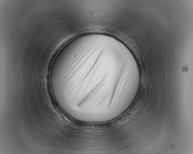 X0000099580434200806061630