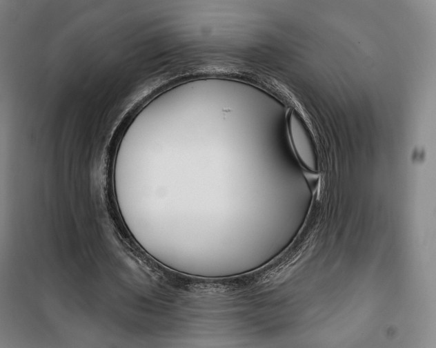 X0000099580435200806061630