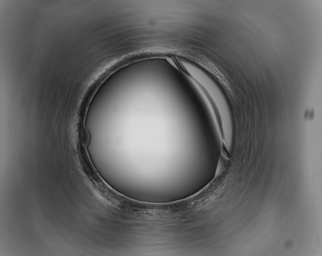 X0000099580436200806061630