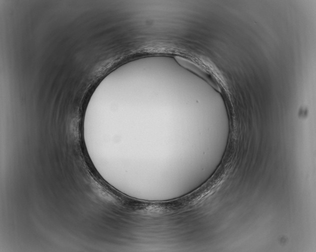 X0000099580441200806061630