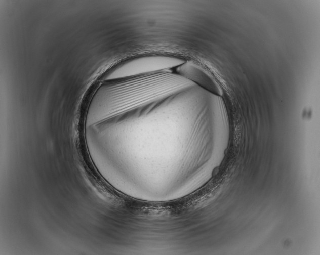 X0000099580443200806061630