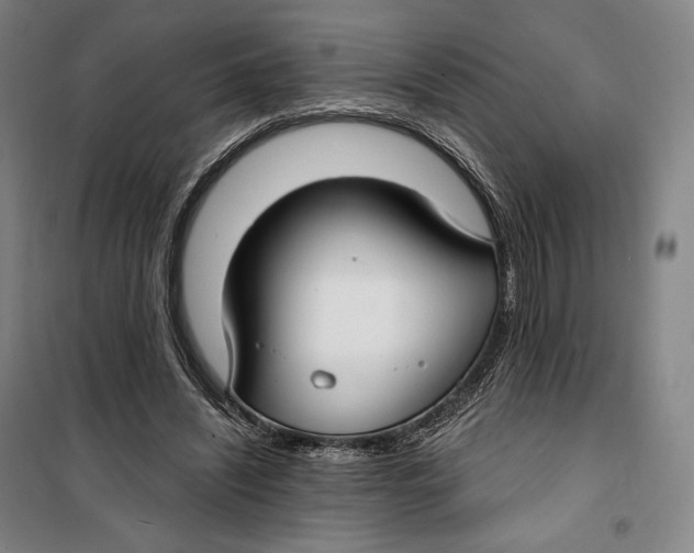 X0000099580444200806061630